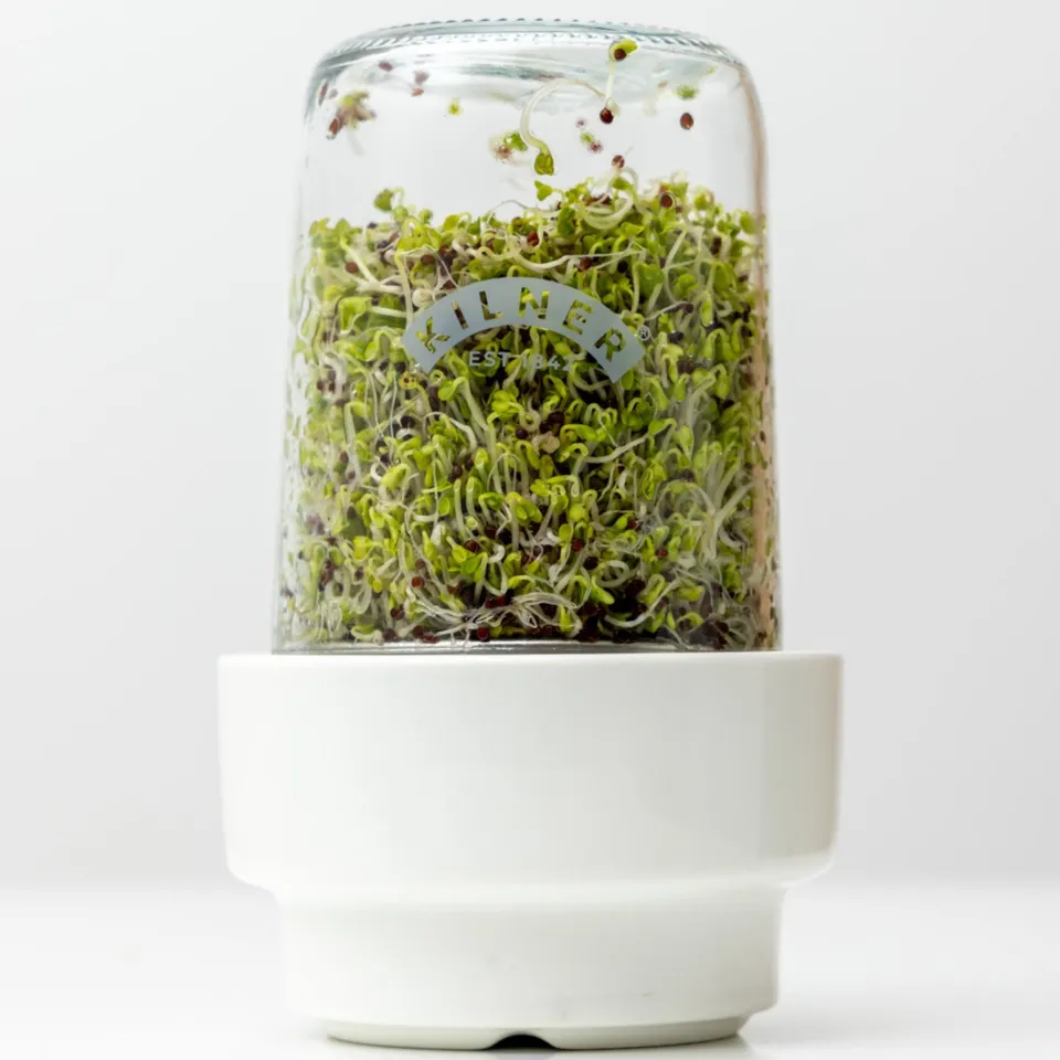 kilner-sprouting-set-with-glass-jar-stainless-steel-strainer-and-ceramic-base image 1