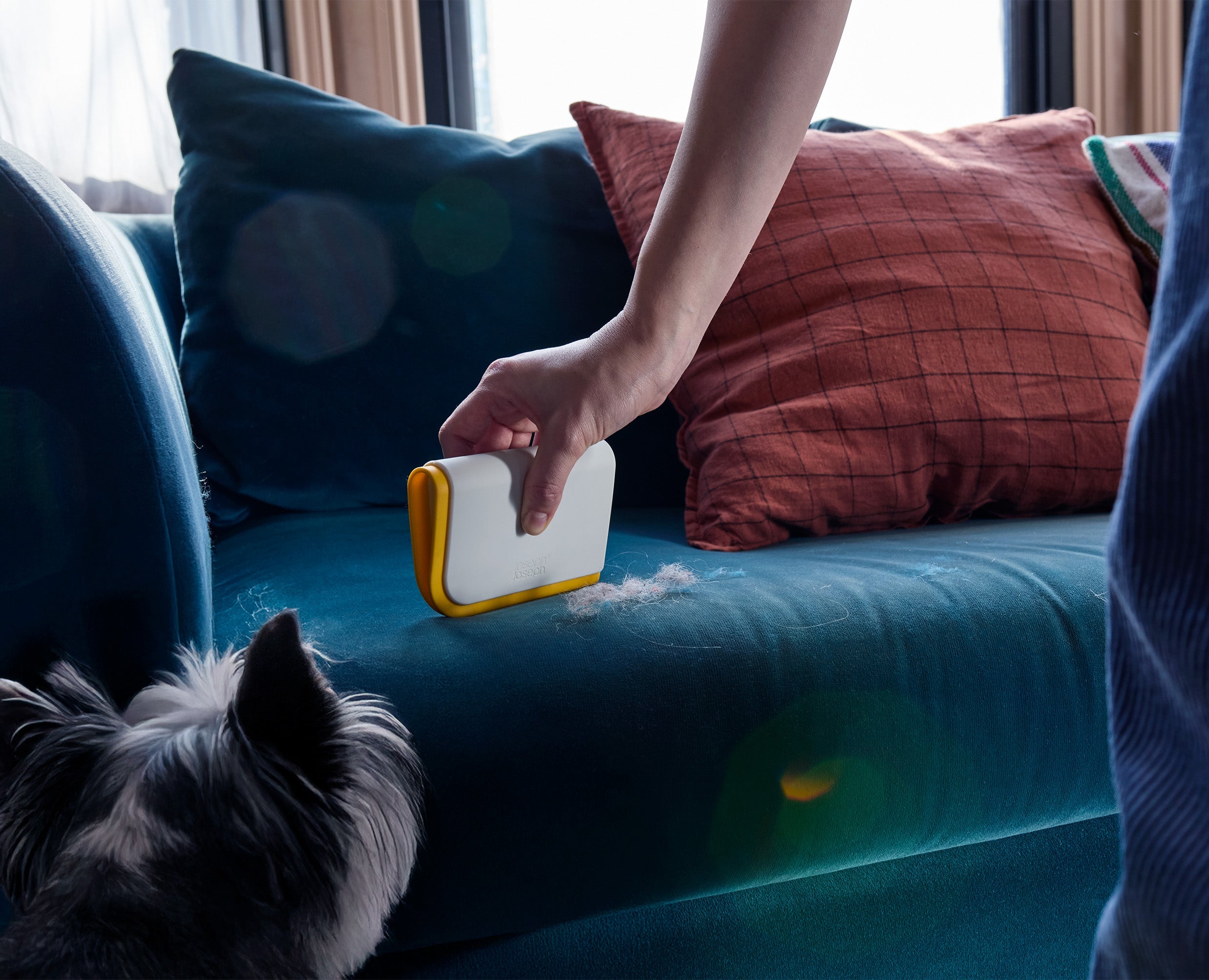 joseph-joseph-cleantech-pet-hair-carpet-cleaning-set image 5