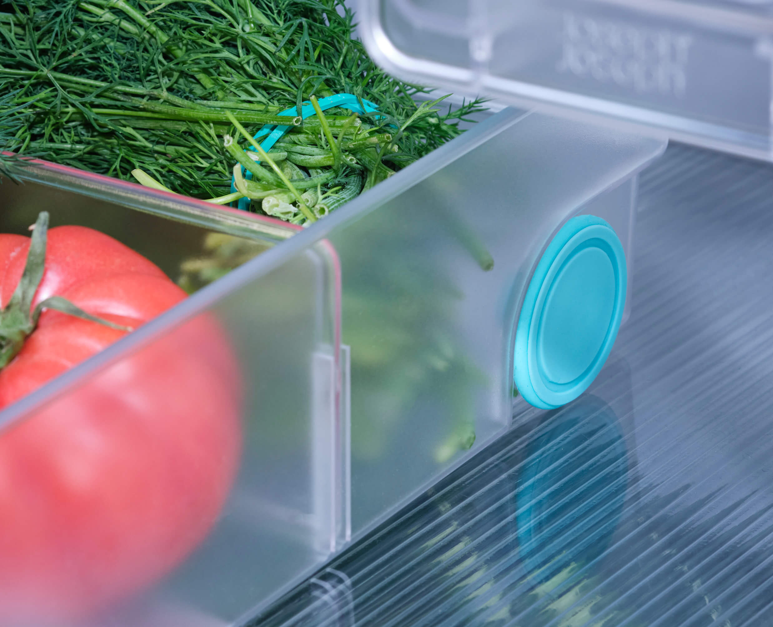 joseph-joseph-fridgestore-extra-large-storage-bin-with-divider-and-wheels image 5